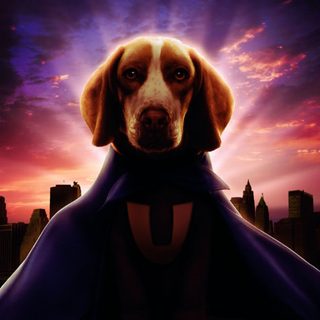 Underdog still 7