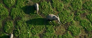 The Ivory Game still 7