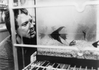 Rumble Fish still 5