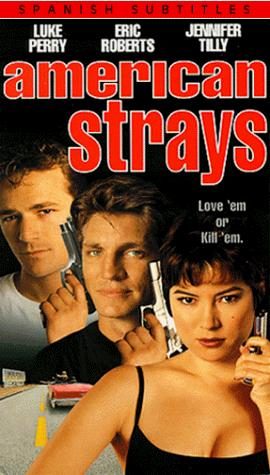 American Strays still 5