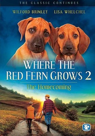Where The Red Fern Grows Part 2 still 4