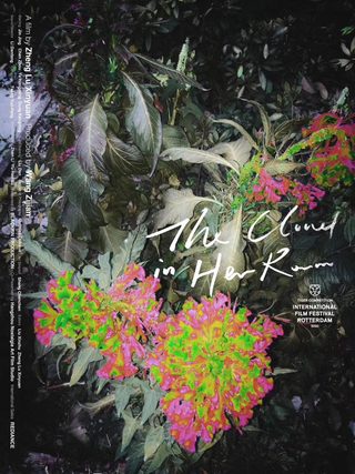 The Cloud in Her Room still 3