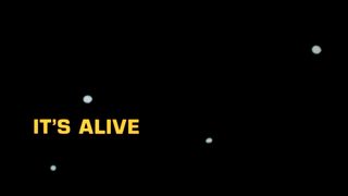 It's Alive still 8