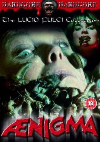 Ænigma still 5