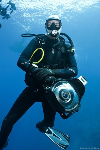 Of Shark And Man still 8