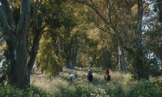 Azor still 3