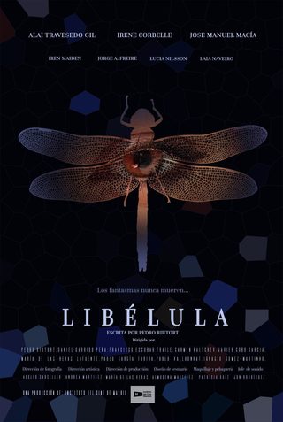 Libélula still 3
