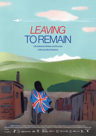 Leaving to Remain still 7