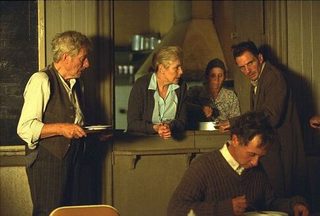 Spider still 8