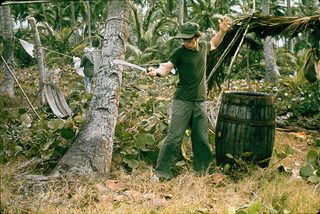 Bananas still 4