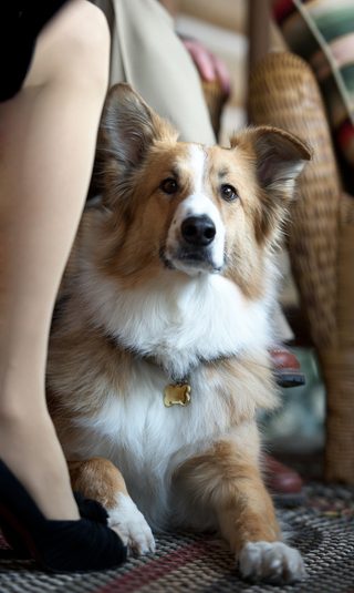 Darling Companion still 8