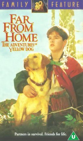 Far from Home: The Adventures of Yellow Dog still 7