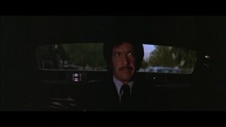 Zebra Force still 6