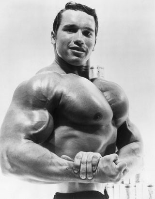 Arnold Schwarzenegger, photo 1 of 3