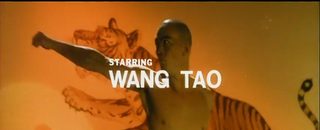 Warriors of the Sacred Temple still 6