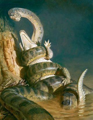 Titanoboa: Monster Snake still 5