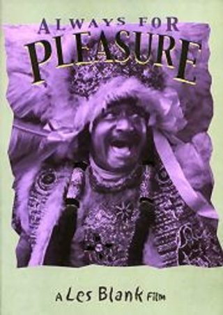 Always for Pleasure still 6