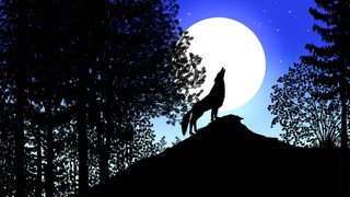 Tales of the Night still 4