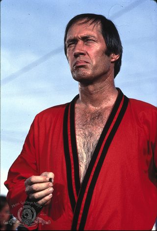 Lone Wolf McQuade still 6