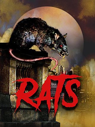 Rats still 1