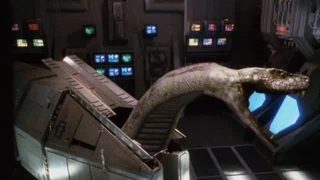 Python 2 still 8