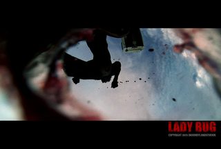 Lady Bug still 2