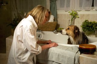 Darling Companion still 7