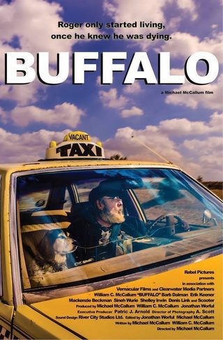 Buffalo still 1