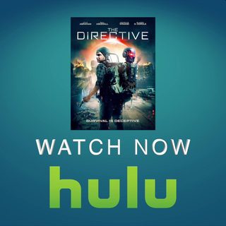 The Directive still 3