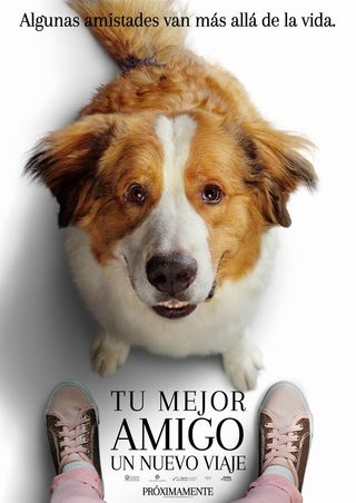 A Dog's Journey still 8