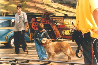 Pets still 8