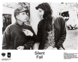 Silent Fall still 6