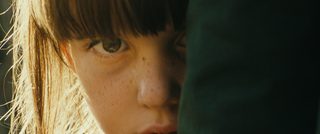 Wetland still 6