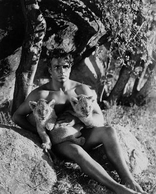 King of the Jungle still 1