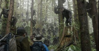Dawn of the Planet of the Apes still 8