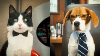 Cats & Dogs: The Revenge of Kitty Galore still 8