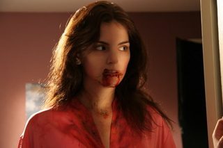 Insecticidal still 5