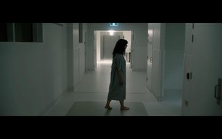 Surrogate still 6