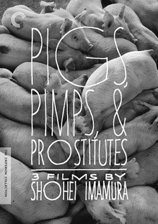 Pigs and Battleships still 1