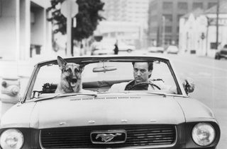K-9 still 2