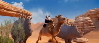 Panda Bear in Africa still 2