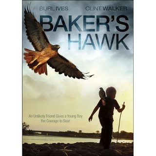 Baker's Hawk still 2