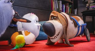 The Secret Life of Pets still 6