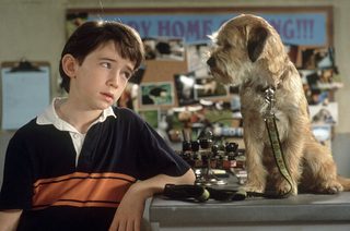 Good Boy! still 3