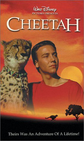 Cheetah still 3