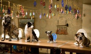 Hotel for Dogs still 7