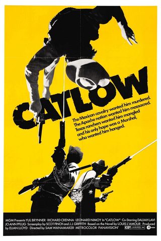 Catlow still 6