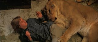 Roar still 7
