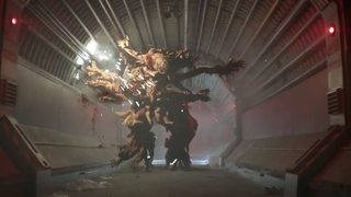 Zygote still 1