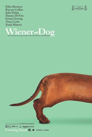 Wiener-Dog still 7